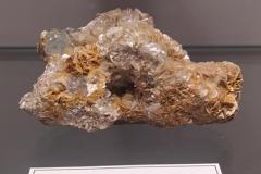 IMG_20221026_123630-Copy