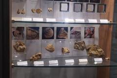 IMG_20221026_124412-Copy