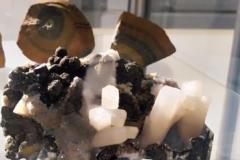 IMG_20221026_125724-Copy