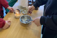IMG-2413-Copy