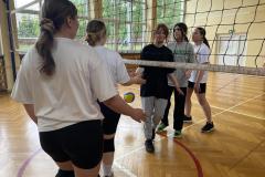 IMG_2977-Copy