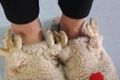 20231123_102734-Copy