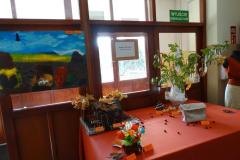 DSC00176-Copy
