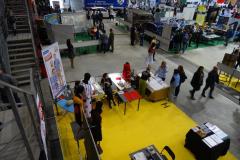 DSC00278-Copy