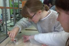 20240418_104400-Copy